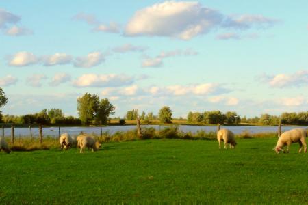 Bout de l'�le Dupras